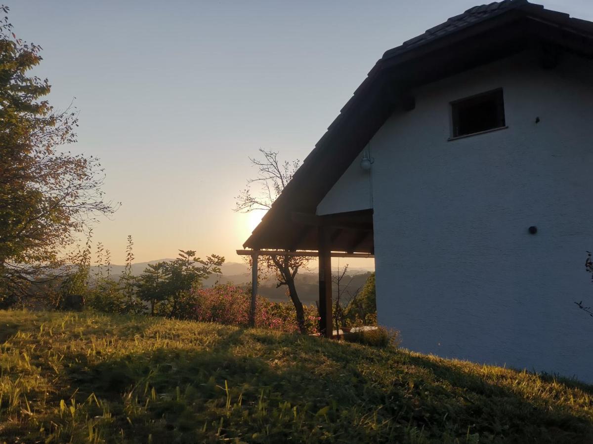 Apartma Pusa Pesnica pri Mariboru 외부 사진