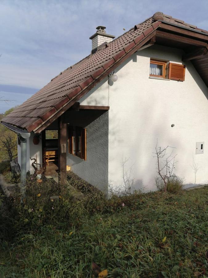 Apartma Pusa Pesnica pri Mariboru 외부 사진