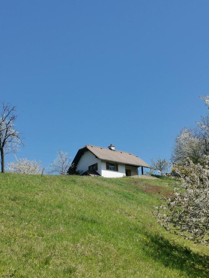 Apartma Pusa Pesnica pri Mariboru 외부 사진